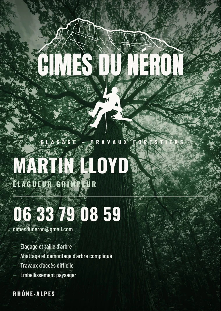 Flyer Cimes du Néron — contre-plongée