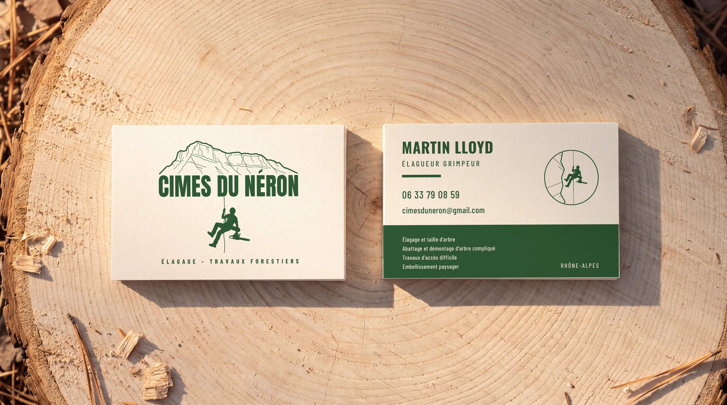 Les cartes de visite posées sur une souche, recto et verso